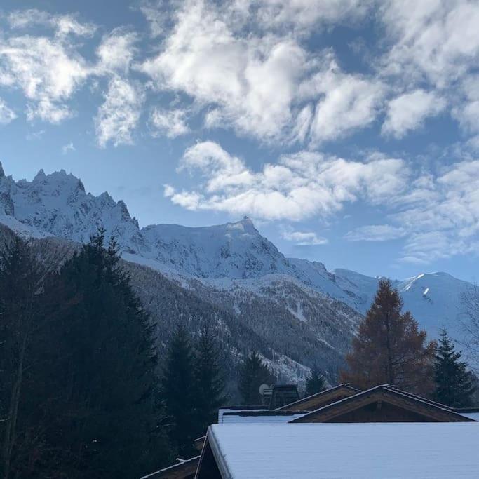 Appartamento Belle Vue Des Praz Chamonix Esterno foto
