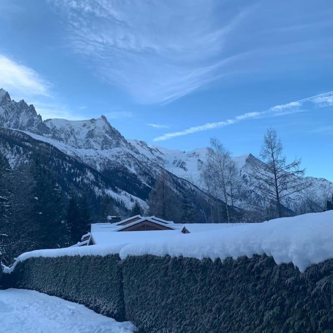 Appartamento Belle Vue Des Praz Chamonix Esterno foto