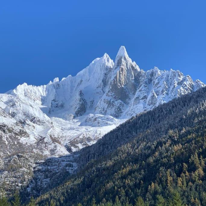 Appartamento Belle Vue Des Praz Chamonix Esterno foto